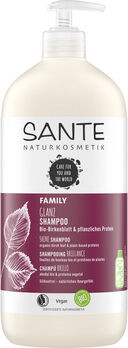 SANTE Family Glanz Shampoo Bio-Birkenblatt & pflanzl. Protein 950ml/nl